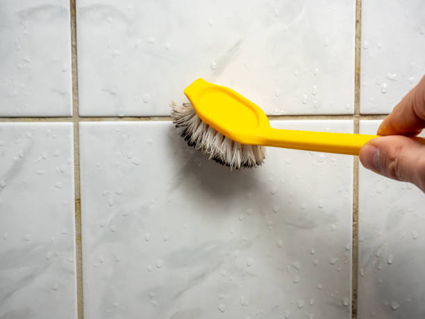 Best Attic Mold Removal  in Ellicott City, MD