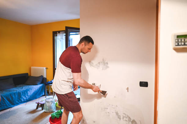 Best Mold Testing  in Ellicott City, MD